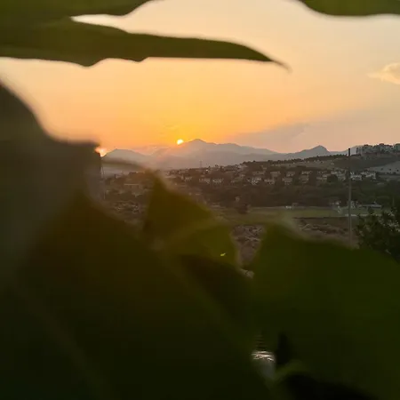 Panorama Cotoveta Mutxamel